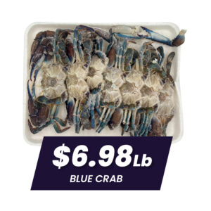 Specials-Halloween-Carnes-14